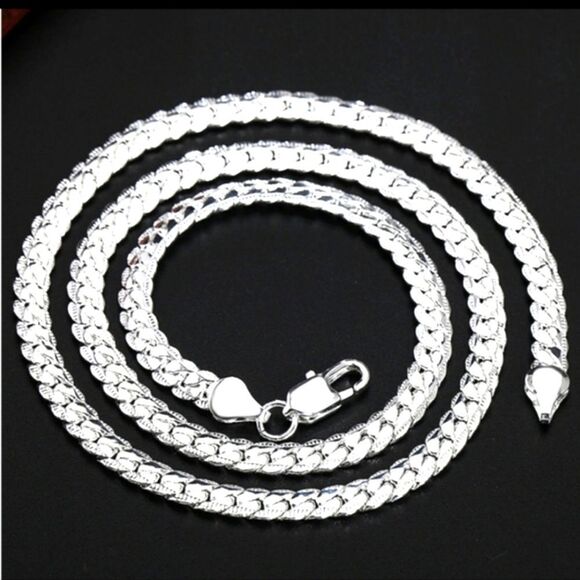 Sterling Silver Serpentine Necklace - Picture 1 of 4
